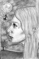 Summer Night Faery Whispers
